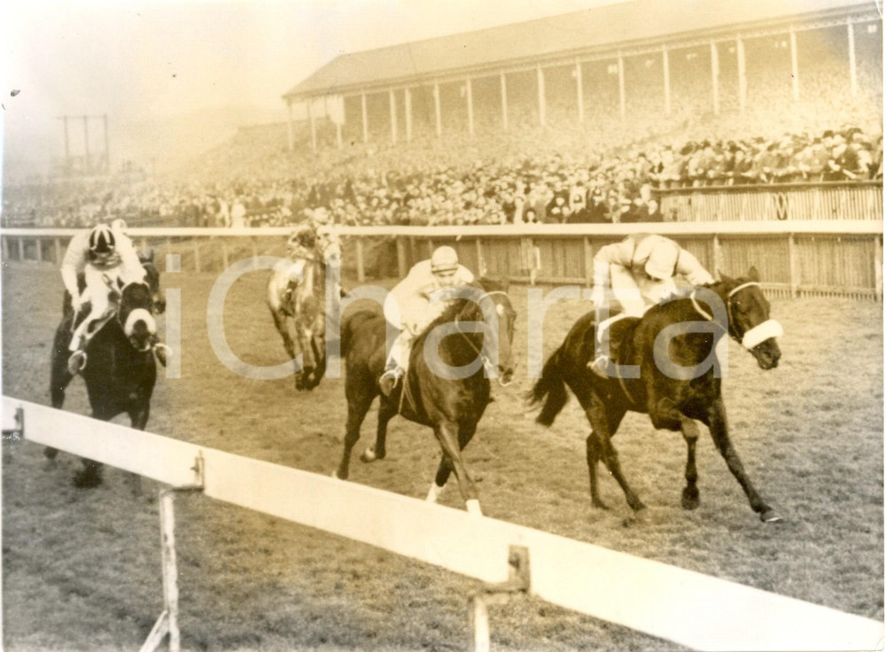 Fotografia d epoca originale 1960 MANCHESTER NOVEMBER HANDICAP  Johnny GREENAWAY wins on Dalnamein Photo 1