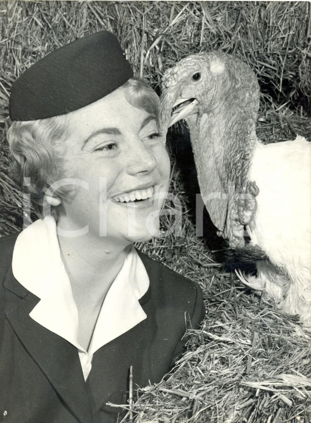 Fotografia d epoca originale 1960 LONDON  Hostess Kathie HOLLISTER talking with a turkey Photo15x20 cm 1