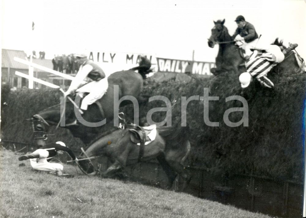 Fotografia d epoca originale 1960 LIVERPOOL National Steeplechase  George ROBINSON on Team Spirit falls down 1