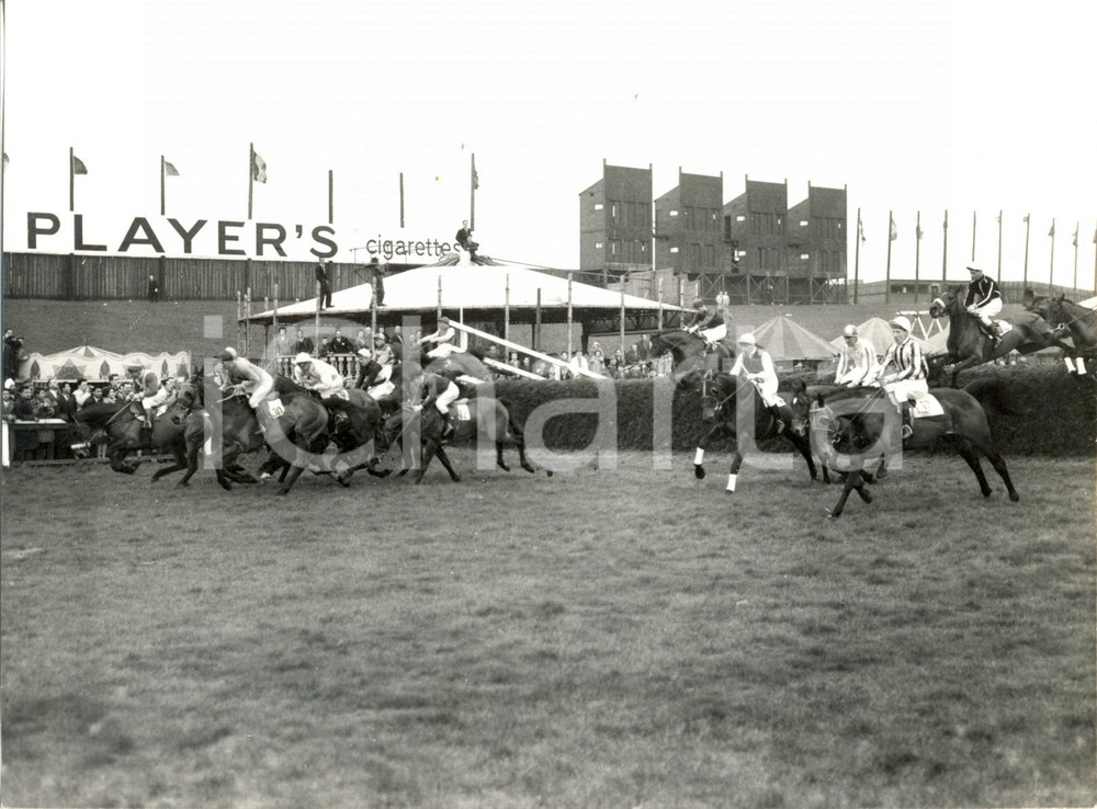 Fotografia d epoca originale 1960 LIVERPOOL National Steeplechase  The field taking the first jump Photo 1