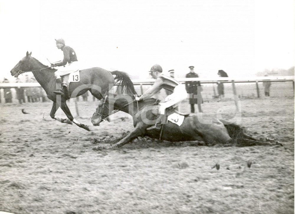 Fotografia d epoca originale 1960 KEMPTON PARK  Handicap Hurdle Race  MURPHY falling mount MISTY VISION 1