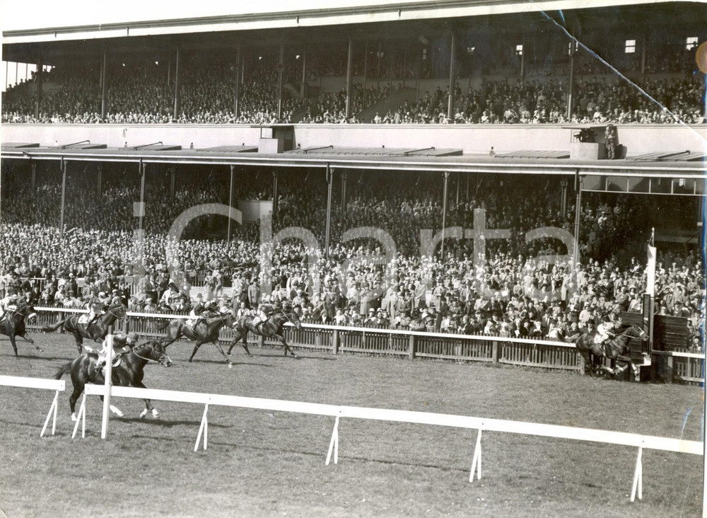 Fotografia d epoca originale 1960 NEWMARKET UK  2,000 Guineas  Ron HUTCHINSON wins on MARTIAL Photo 1