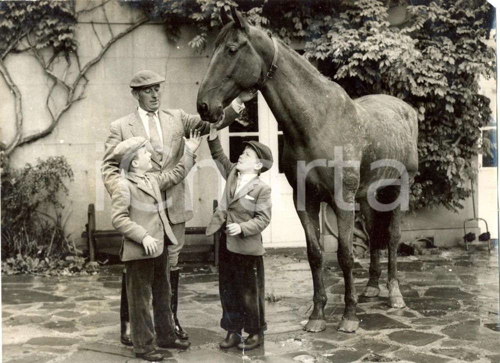 Fotografia d epoca originale 1956 LLANVAIR GRANGE  Brothers LLEWELLYN caressing FOXHUNTER Photo 20x15 cm 1
