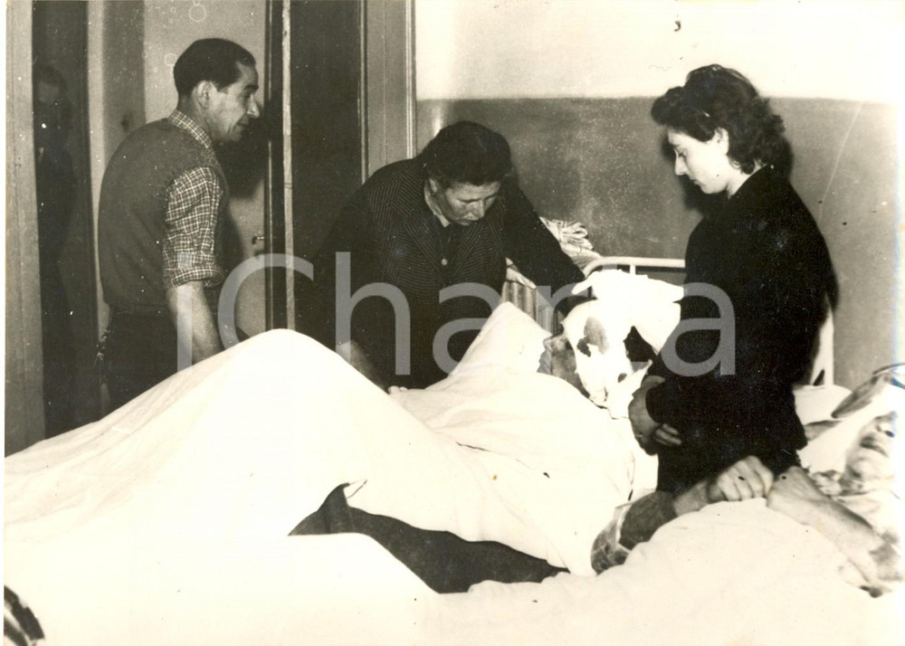 Fotografia d epoca originale 1957 MILLE MIGLIA MANTOVA  Tragedia Guidizzolo  Un ferito all ospedale Foto 1