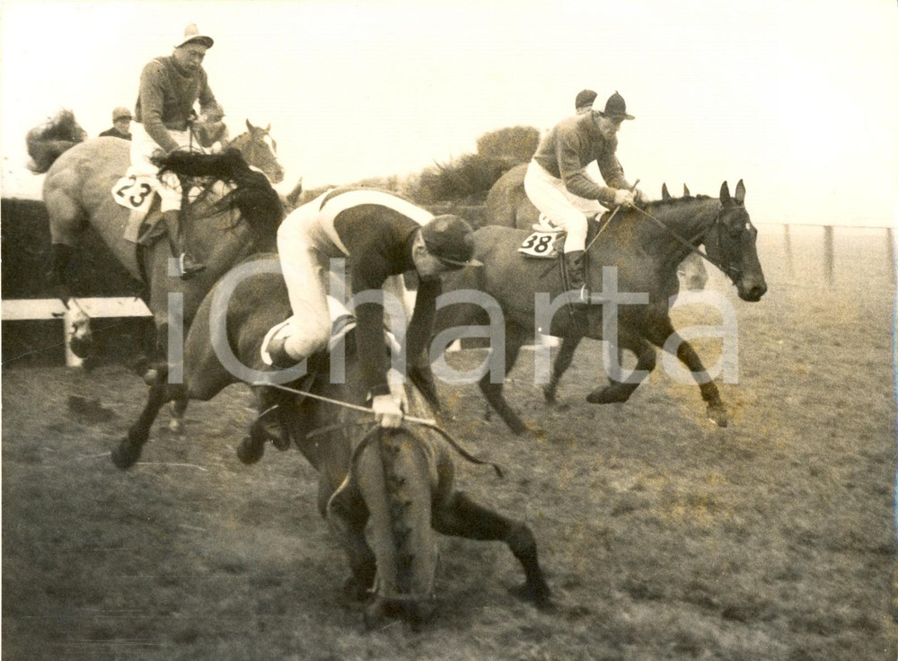 Fotografia d epoca originale 1959 WINDSOR Burhnam Beeches Novices  Steeplechase  KEEN falling at first fence 1