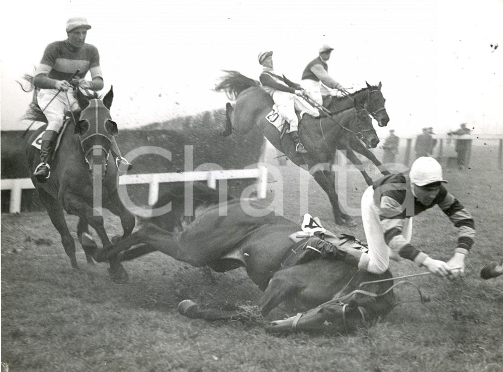 Fotografia d epoca originale 1959 WINDSOR  Handicap Steeplechase  Anthony FREEMAN falling at first fence 1