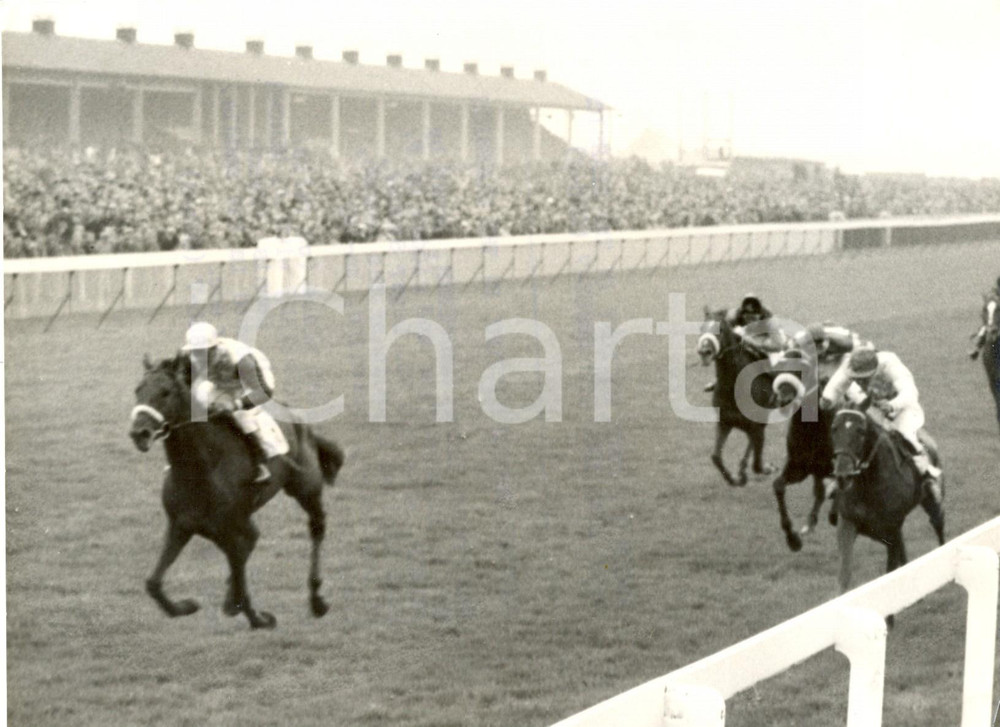 Fotografia d epoca originale 1956 DONCASTER  St Leger Stakes  Freddie PALMER wins on Cambremer Photo 1