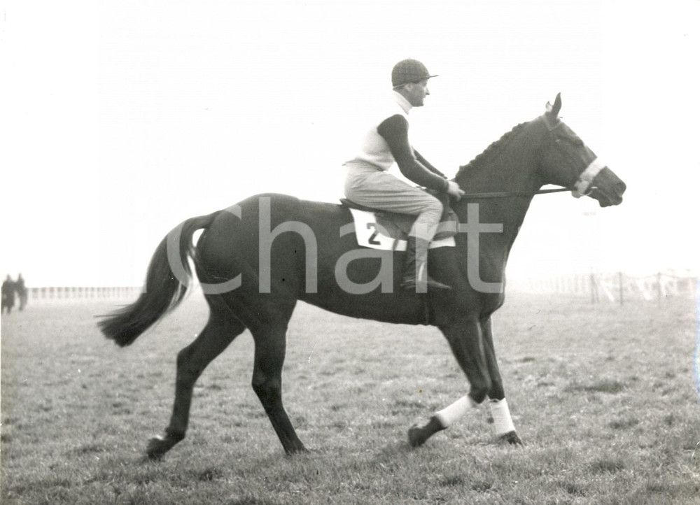 Fotografia d epoca originale 1959 AINTREE RACECOURSE  Grand National Steeplechase  Freddie WINTER on AXIM 1