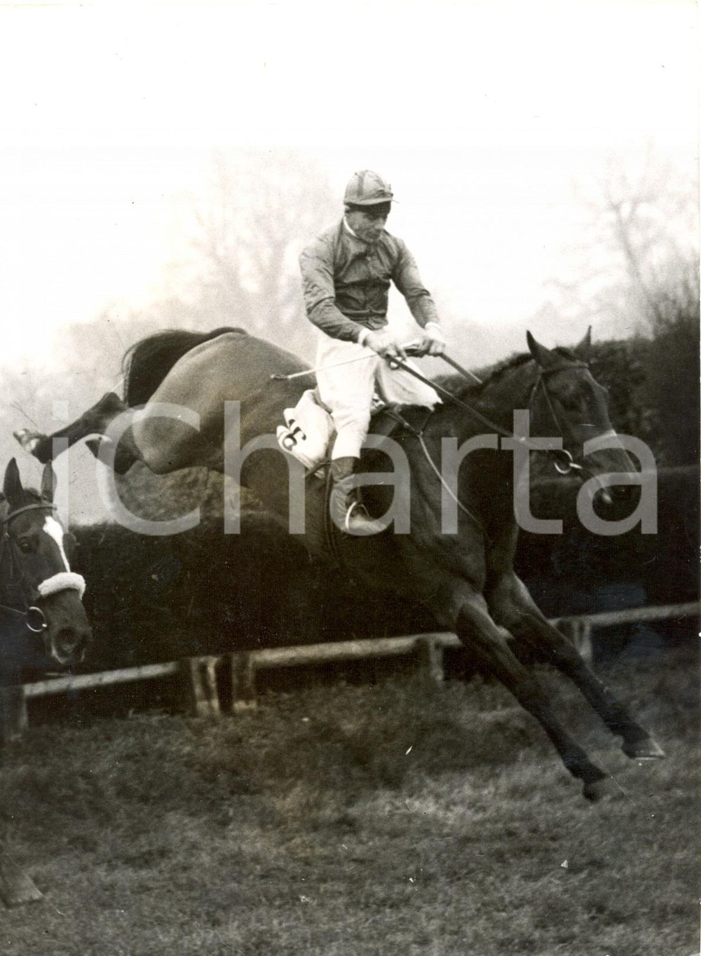 Fotografia d epoca originale 1959 AINTREE Grand National Steeplechase  Horse Oscar WILDE jumping the fence 1