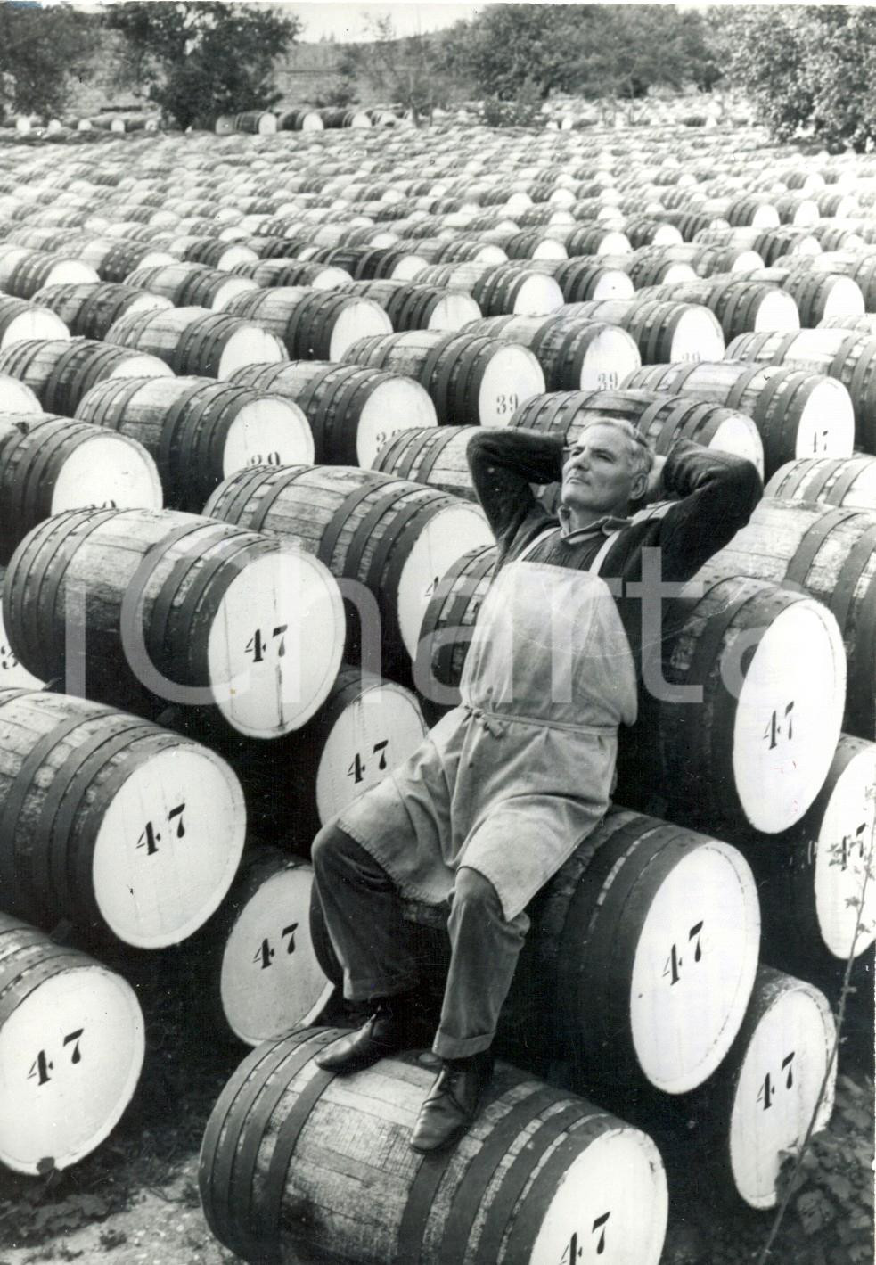 Fotografia d epoca originale 1973 LIMASSOL CIPRO  Operaio prende il sole su botti di cherry Foto 13x18 cm 1