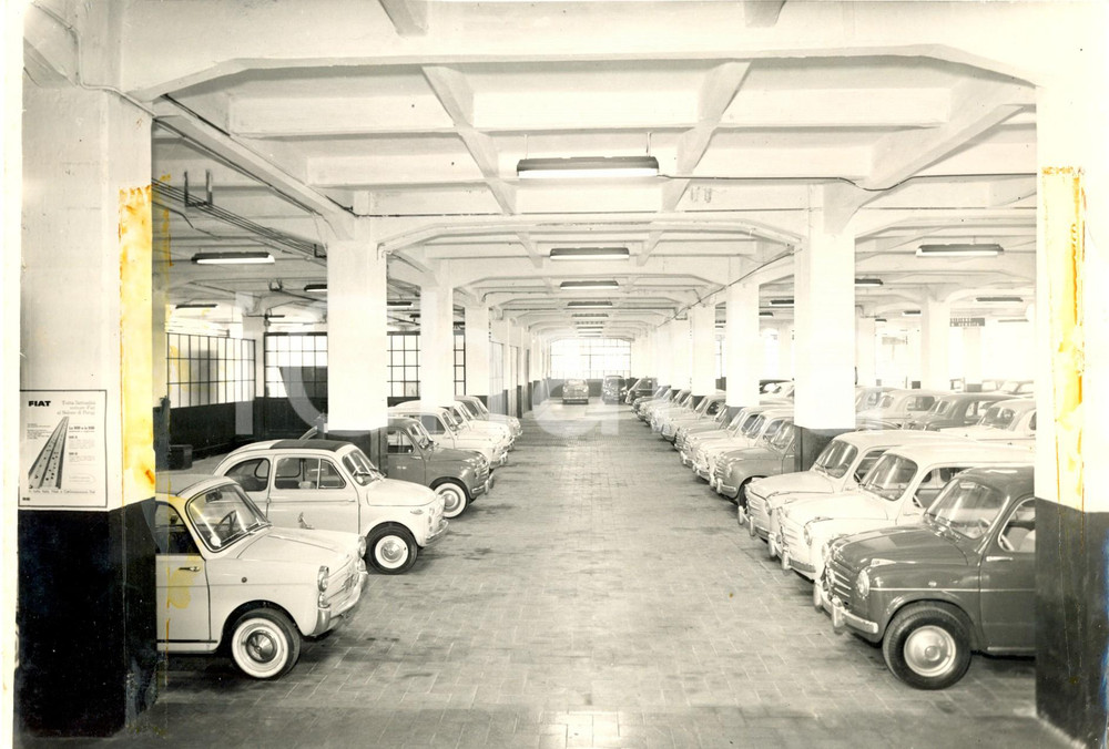 Fotografia d epoca originale 1960 ca GENOVA Via Piave  Interno dell autosalone FIAT Foto 24x18 1