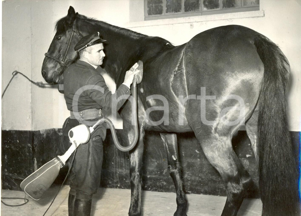 Fotografia d epoca originale 1957 ROMA ISTITUTO ZOOTECNICO TOR MANCINA Nuova ppazzola elettrica per cavalli 1