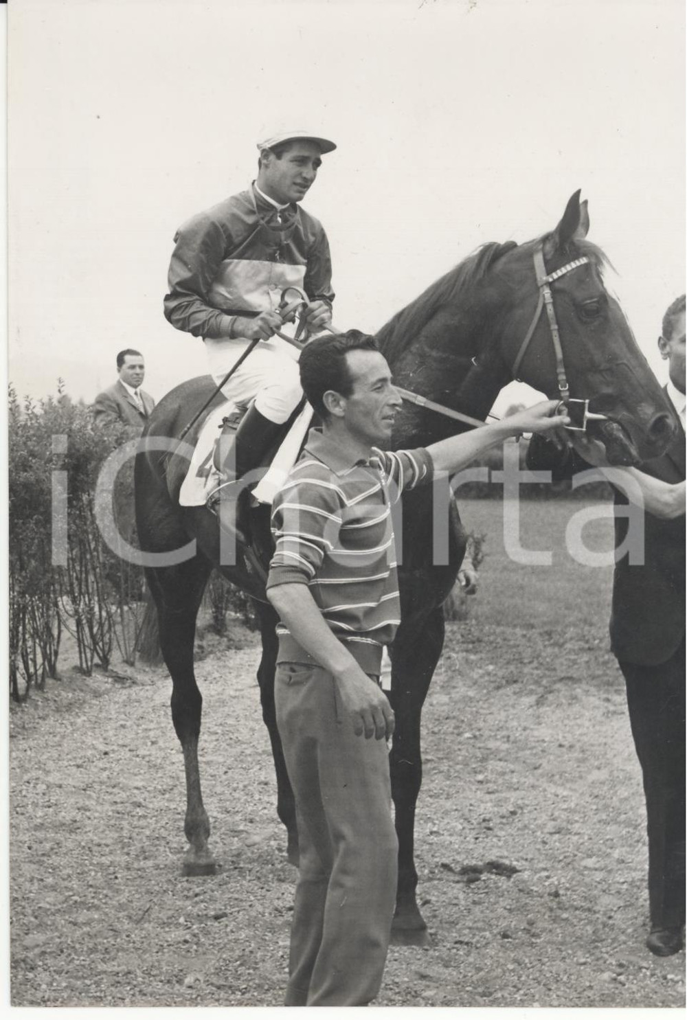 Fotografia d epoca originale 1955 ca TORINO Concorso Ippico Principe Amedeo  G. PANICI su Clock s Court FOTO 1