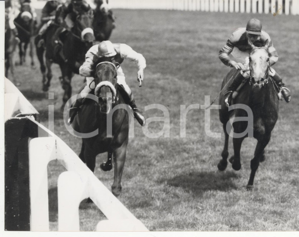 Fotografia d epoca originale 1960 ASCOT UK King George VI Queen Elizabeth Stakes   AGGRESSOR wins Photo 1