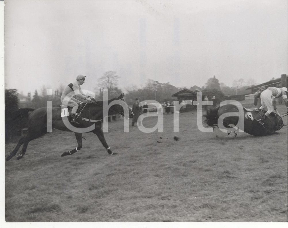 Fotografia d epoca originale 1961 STANELY STEEPLECHASE / SANDOWN PARK William REES falling from KING Photo 1