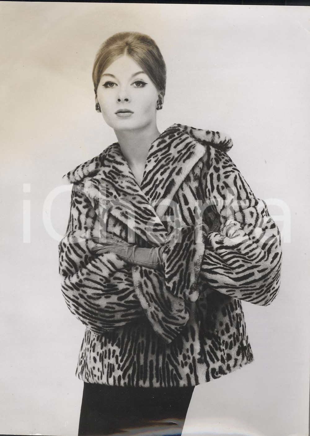 Fotografia d epoca originale 1959 LONDON Model wearsTescan Ocelot Lamb fur by POINT TO POINT Photo Fashion 1