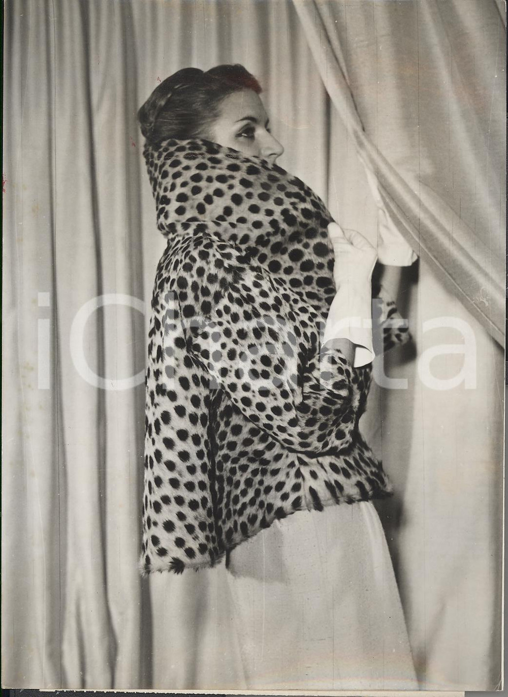Fotografia d epoca originale 1959 PARIS Model wearing cheetah fur jacket by LAVINCASTILLO collection Foto 1