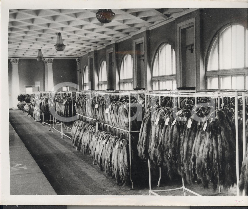Fotografia d epoca originale 1953 LENINGRAD Internal store view of the 24th International Fur Auction Photo 1