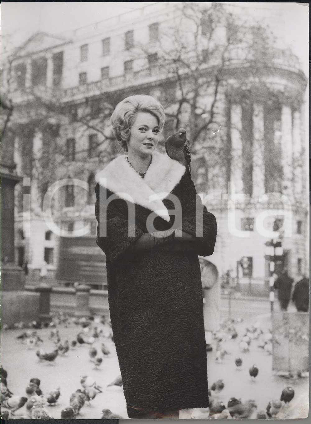 Fotografia d epoca originale 1958 LONDON Jeanne FARQUHARSON wearing African coat  Model of the Year Photo 1