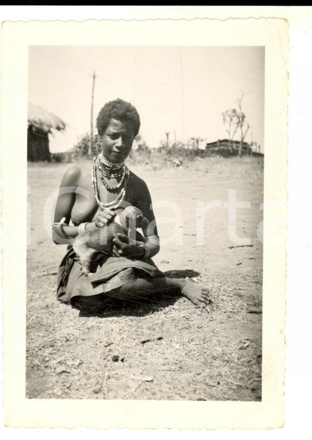 Fotografia d epoca originale 1935 ca AOI ADDIS ABEBA Giovane indigena a seno nudo con un cagnolino Foto 7x10 1