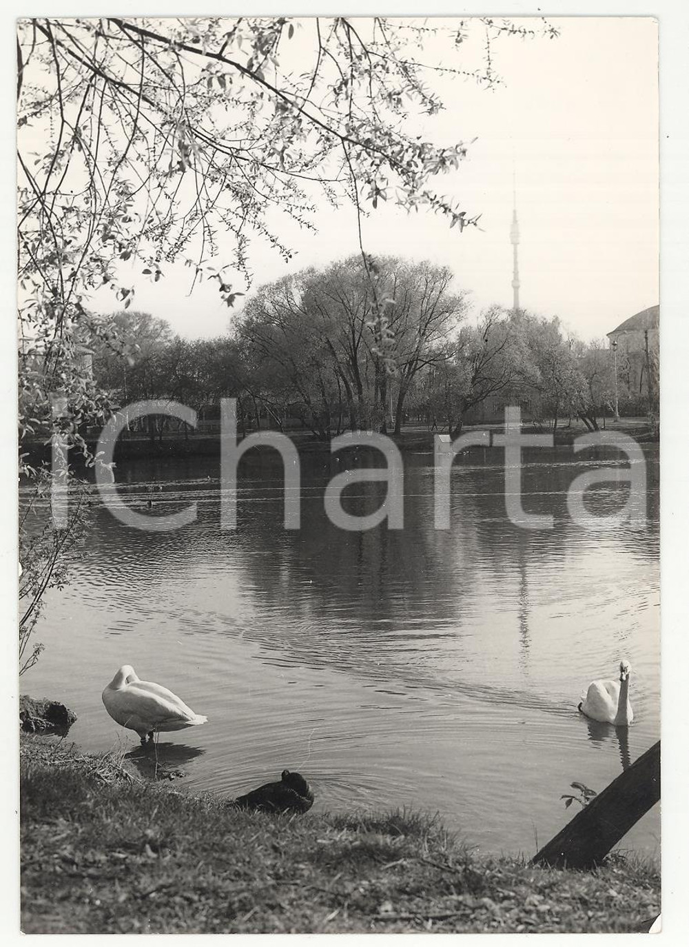 Fotografia d epoca originale 1975 URSS MOSCA Mostra delle Scienze  Interni parco VERA FOTO cm 14,5x10,5 1