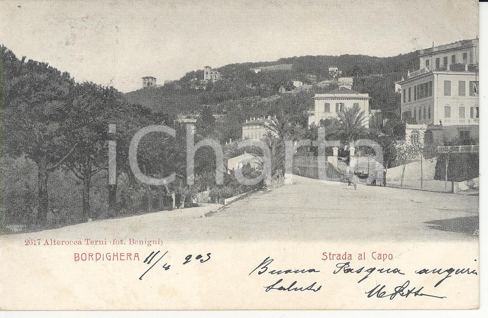 Cartolina originale da collezione 1905 BORDIGHERA IM Calesse percorre Strada al Capo Cartolina FP VG 1