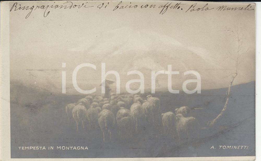 Cartolina originale da collezione 19003 ARTE Achille TOMINETTI Tempesta in montagna Cartolina ILLUSTRATA FP VG 1