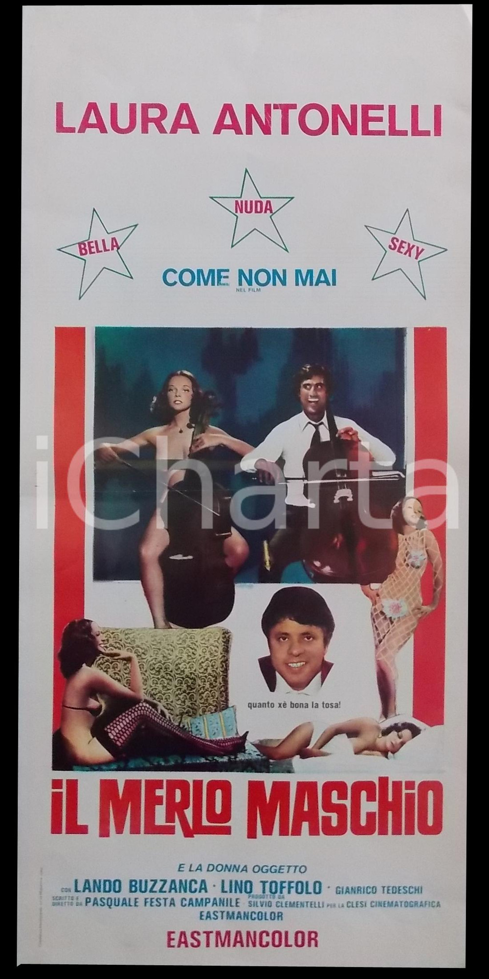 Materiale cinematografico d’epoca 1971 IL MERLO MASCHIO Laura ANTONELLI Lando BUZZANCA Manifesto 32x70 cm 1