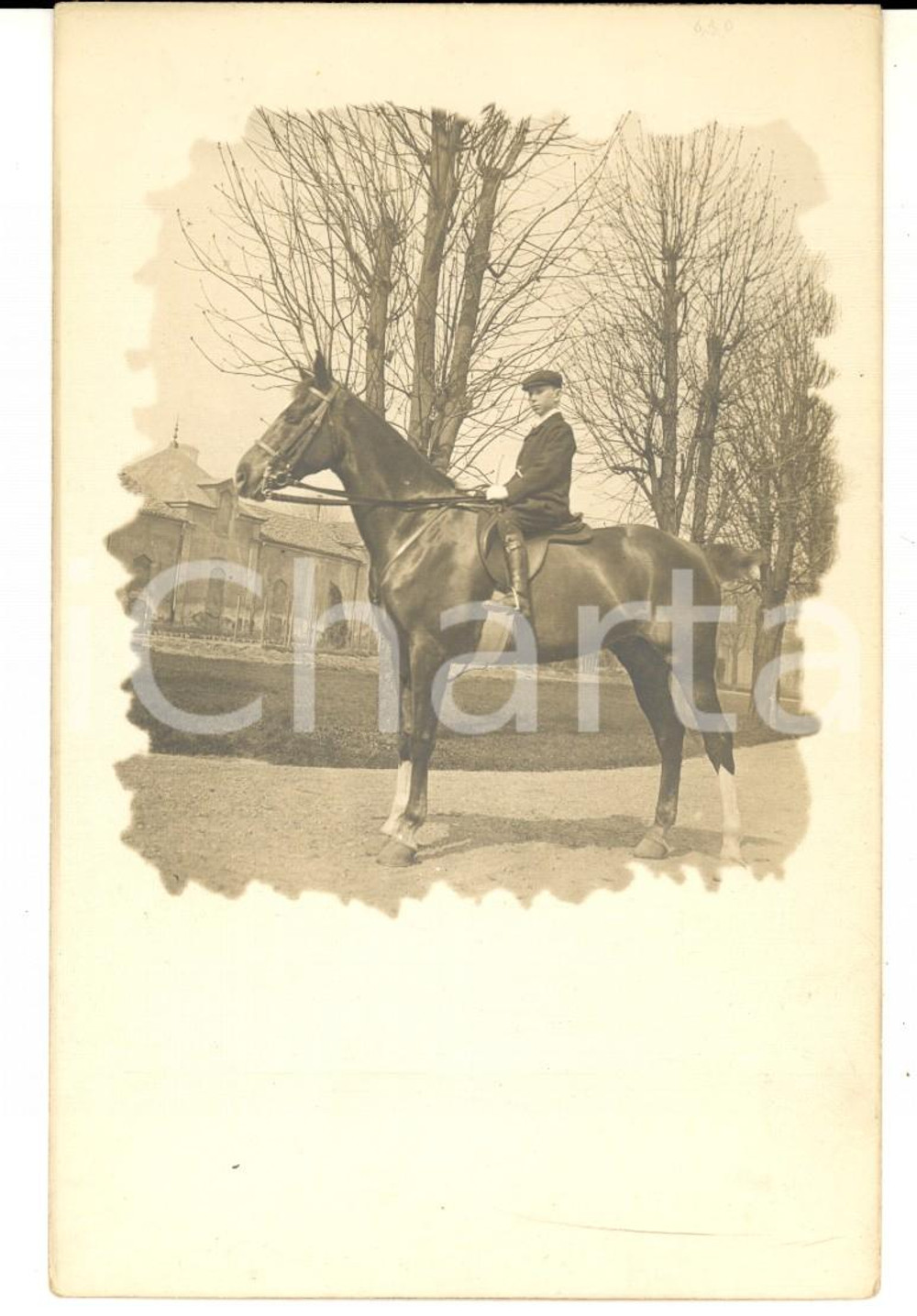 Fotografia d epoca originale 1920 ca FRANCE EQUITAZIONE Ritratto di giovane a cavallo Foto cartolina 1