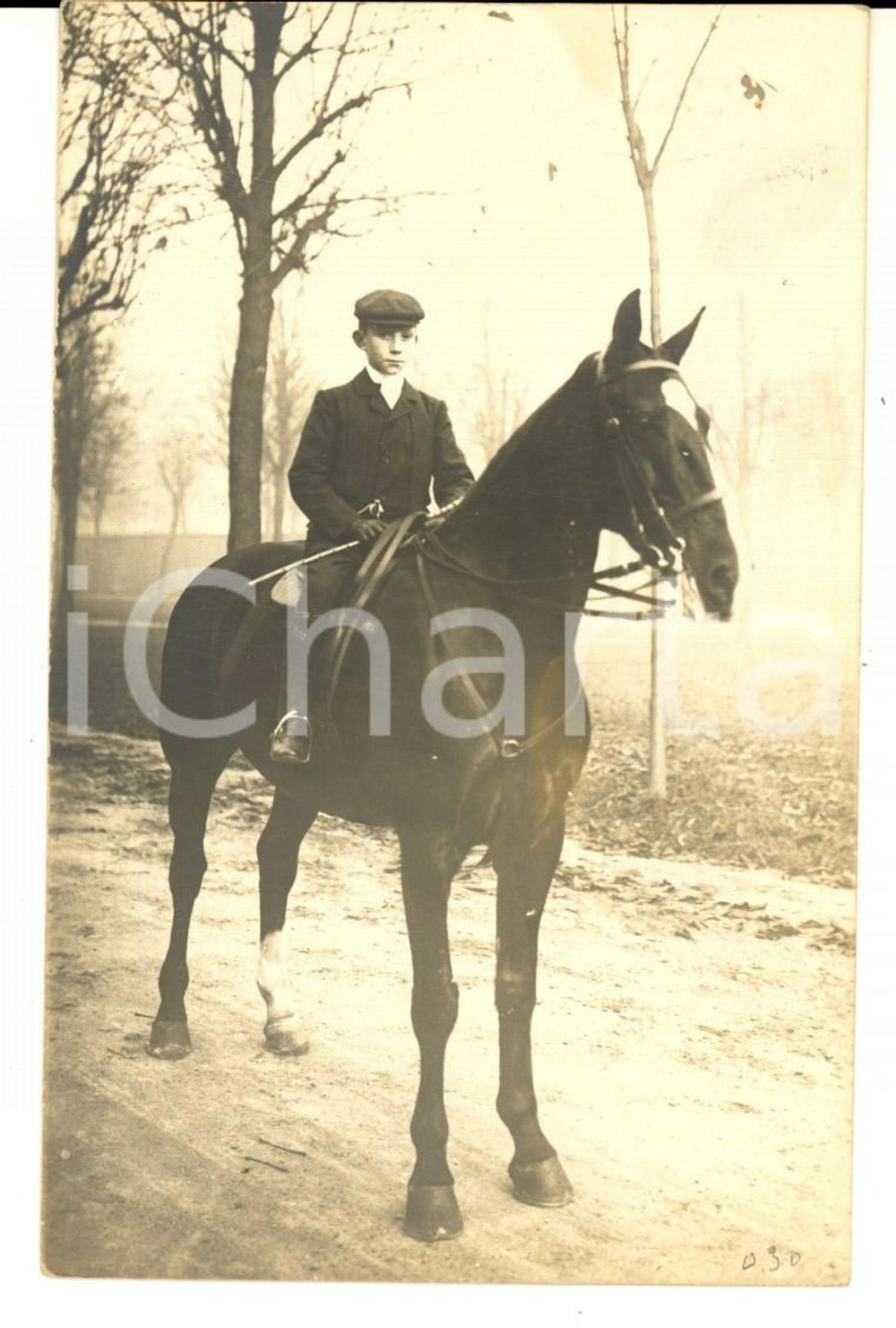 Fotografia d epoca originale 1920 ca FRANCE EQUITAZIONE Ritratto di giovane a cavallo  Foto cartolina 1