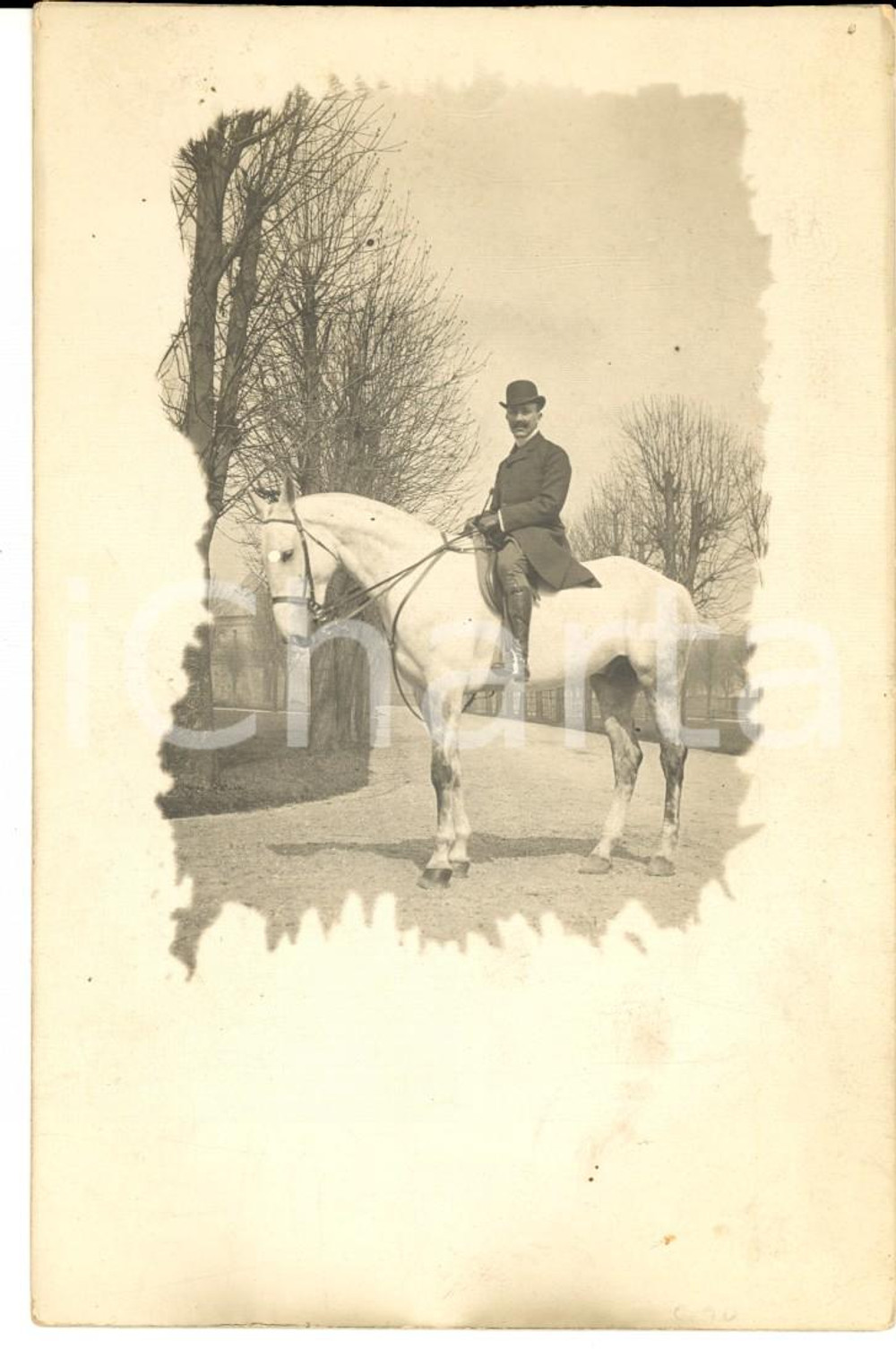 Fotografia d epoca originale 1920 ca FRANCE EQUITAZIONE Ritratto maschile su cavallo bianco Foto cartolina 1