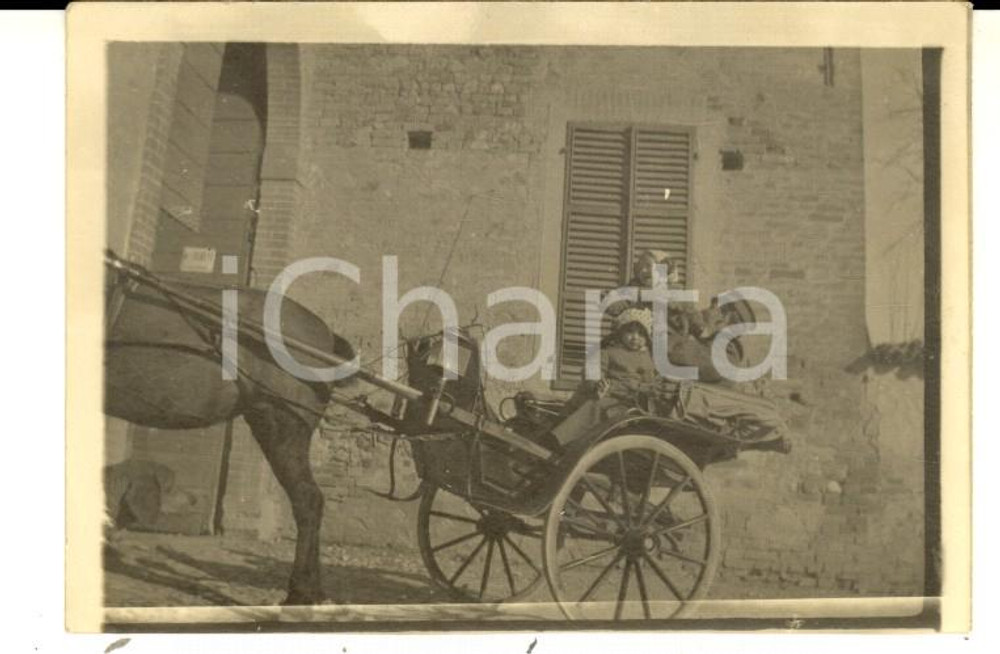 Fotografia d epoca originale 1919 WW1 AREA VENETA Ufficiale in calesse con i due figli piccoli Foto 9x6 cm 1