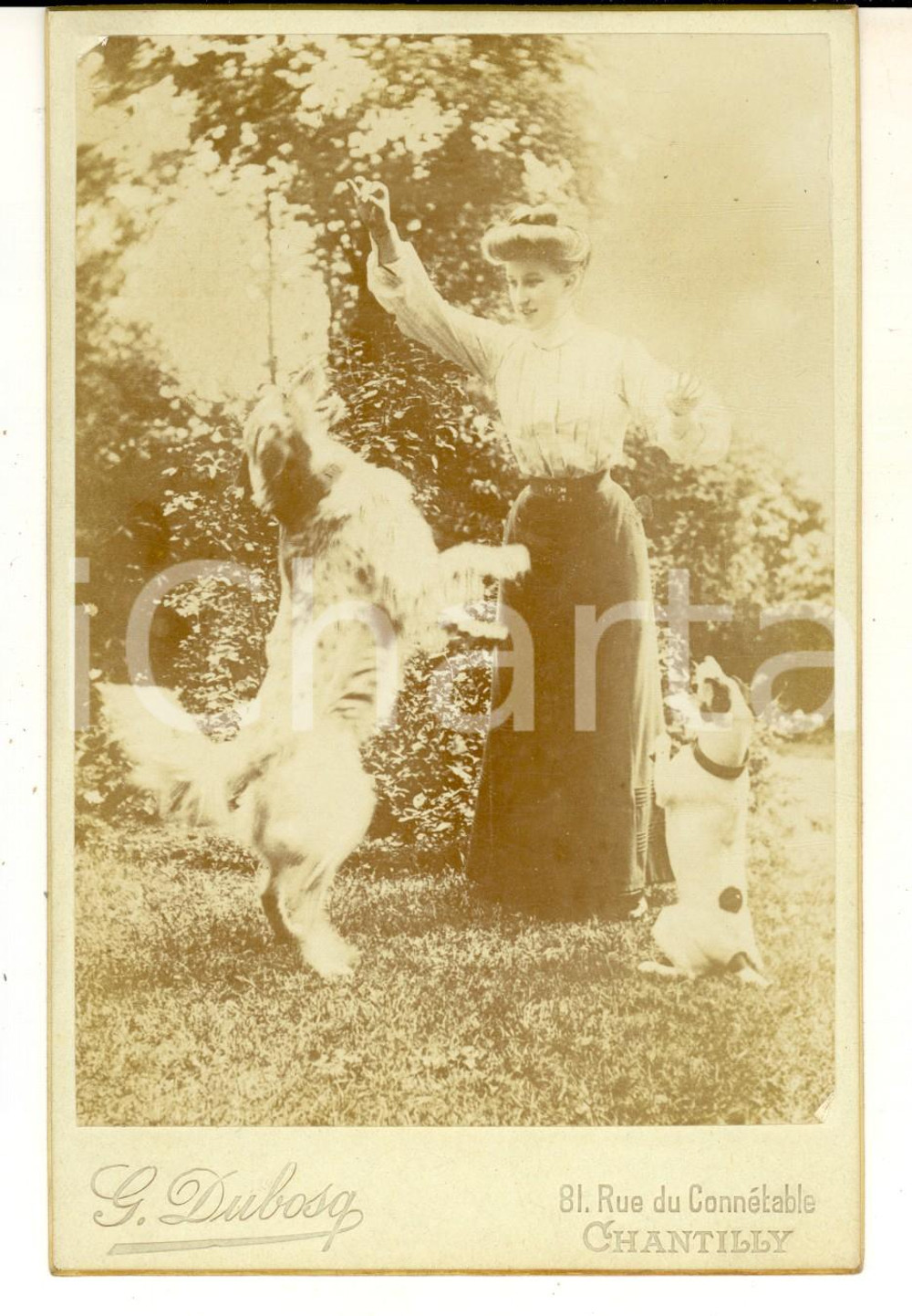 1890 ca CHANTILLY Ritratto di donna che gioca con i cani *Foto Georges DUBOSQ