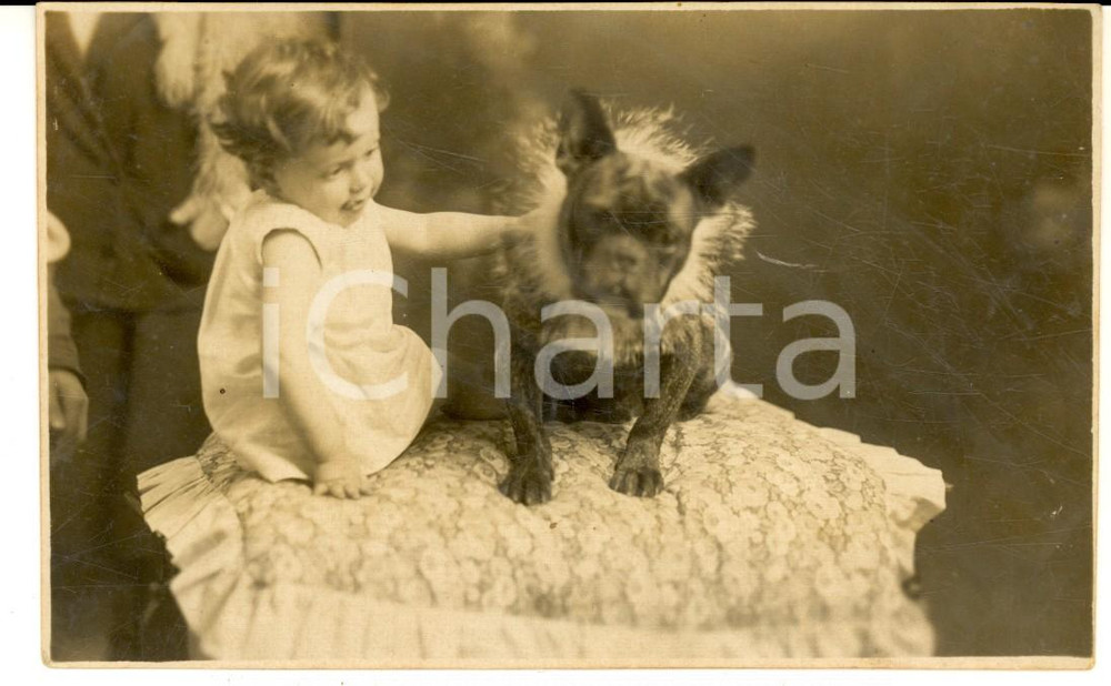 Fotografia d epoca originale 1930 ca PIACENZA Ritratto di bambina con cane in pelliccia  Foto CURIOSA 1