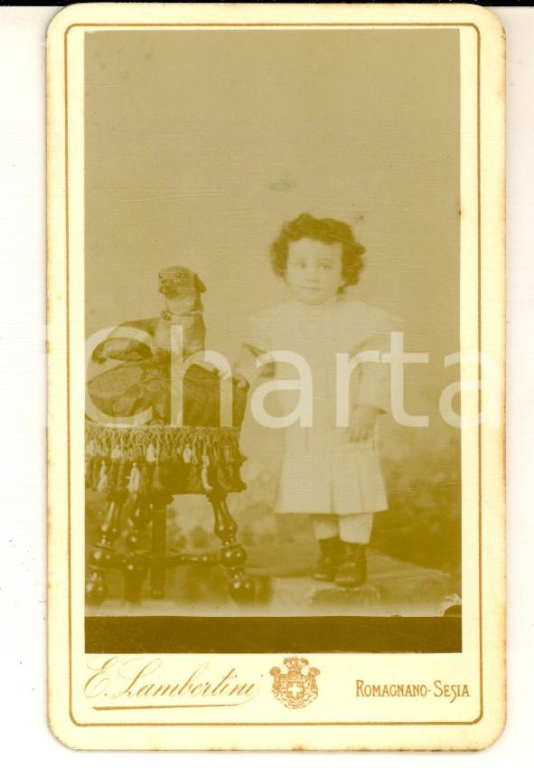 Fotografia d epoca originale 1890 ca ROMAGNANO SESIA Ritratto di bambina con un cane  Foto LAMBERTINI CDV 1