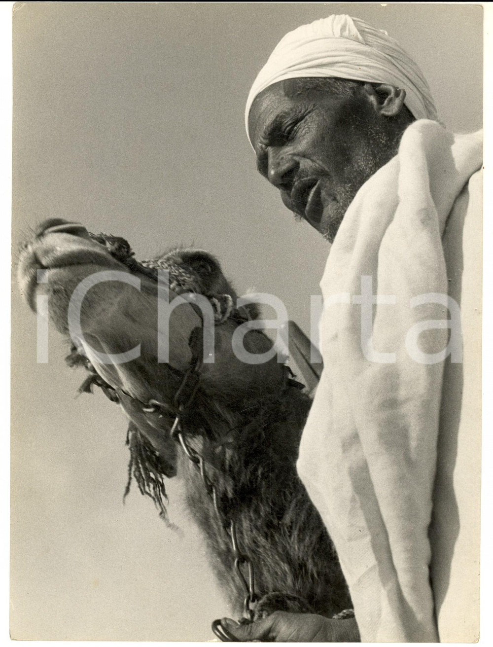 Fotografia d epoca originale 1938 CINEMA Cairo  Ritratto di egiziano con il suo cammello  Foto 18x24 cm 1