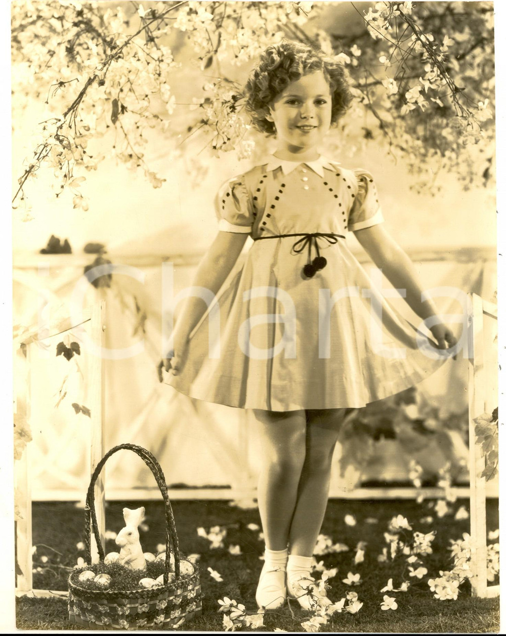 Fotografia d epoca originale 1940 ca CINEMA Ritratto di Shirley TEMPLE in posa primaverile  Foto 18x24 cm 1