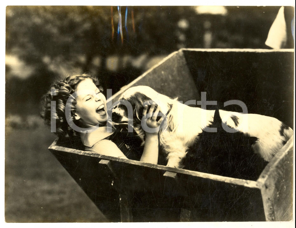 Fotografia d epoca originale 1937 CINEMA Shirley TEMPLE gioca con il suo cane preferito  Foto 24x18 cm 1