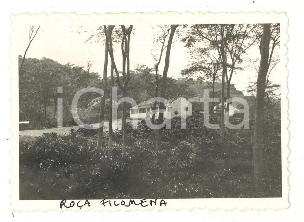 Fotografia d epoca originale 1966 BENGUELA ANGOLA Edifici commerciali nella foresta Foto 12x8 cm 1