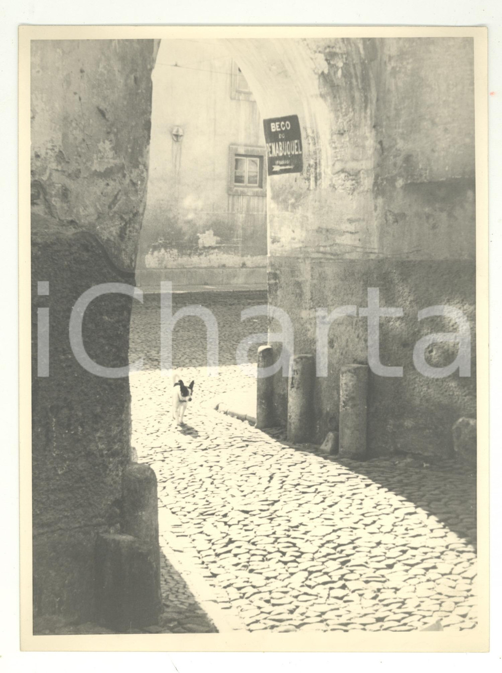 Fotografia d epoca originale 1980 ca  LISBOA  Beco de Penabuquel REAL PHOTO cm 24 x 17,5 ANIMATA 1