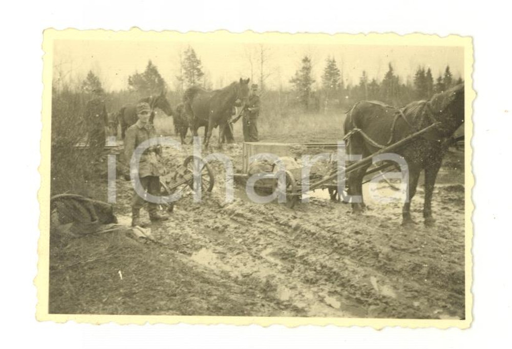 Fotografia d epoca originale 1940 ca WW2 FRONTE ORIENTALE Trasporto militare su carretti  Fotografia 9x6 cm 1