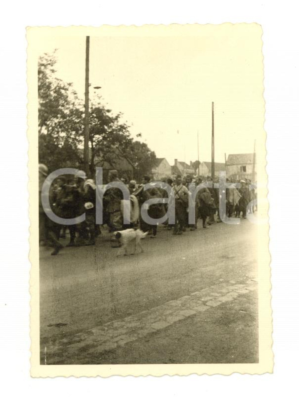 1945 ca WW2 EUROPA ZONA DI GUERRA Colonna di militari in marcia - Foto 6x8