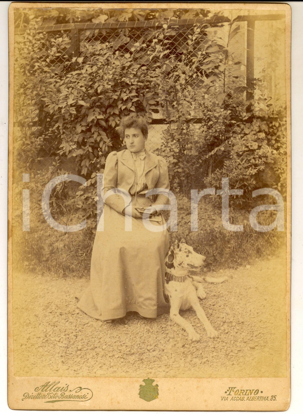 Fotografia d epoca originale 1910 ca TORINO Ritratto di donna in giardino con il cane  Foto ALLAIS 18x25 1