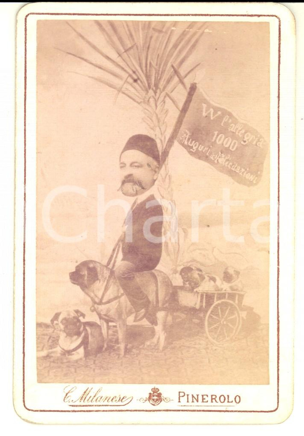 Fotografia d epoca originale 1880 ca PINEROLO Fotomontaggio per auguri con carrozza di bulldog FOTO RARA 8x12 1