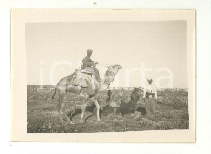 Fotografia d epoca originale 1920 ca LIBIA ? Riposo di due militari a dorso di dromedario  Foto 9x6 cm 1
