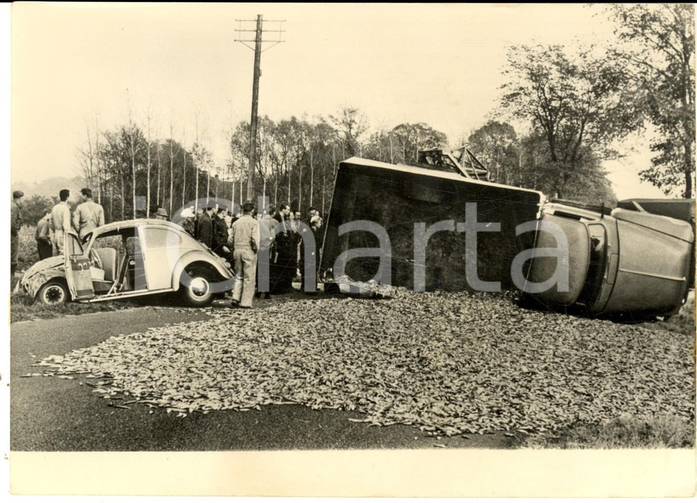 1959 JUTLAND (DENMARK) Incidente con ribaltamento di camion carico di pesce FOTO