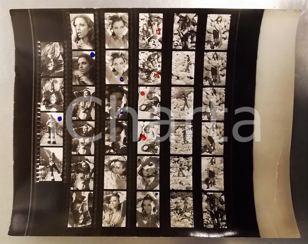 Fotografia d epoca originale 1970 ca Tamara BARONI  Servizio fotografico in montagna  Topless 34 provini 1