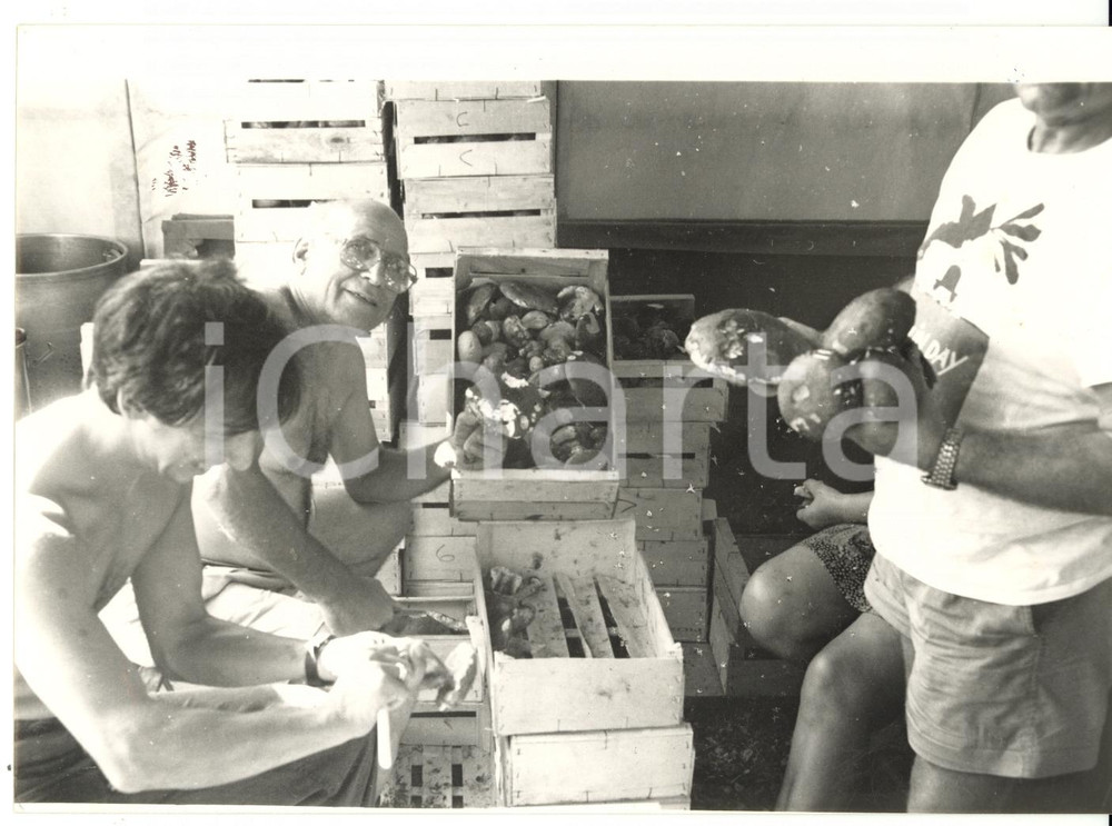 Fotografia d epoca originale 1992 GENOVA  FOCE Festa dell UnitÃ   Pulizia dei funghi porcini Foto VINTAGE 1