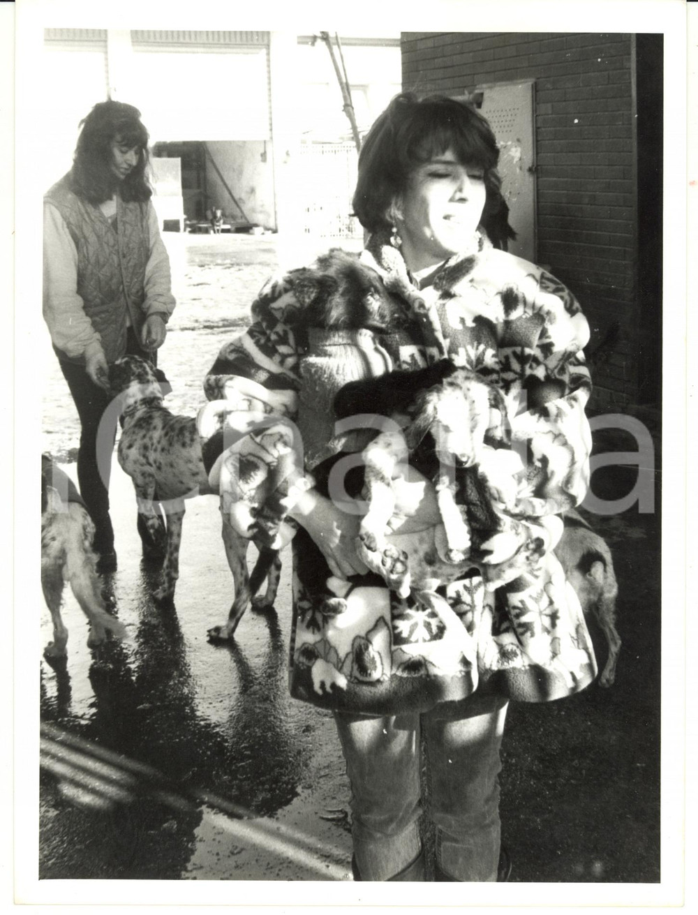 Fotografia d epoca originale 1990 ca GENOVA Crudelia DE MON Fotografia CURIOSA 18x24 1