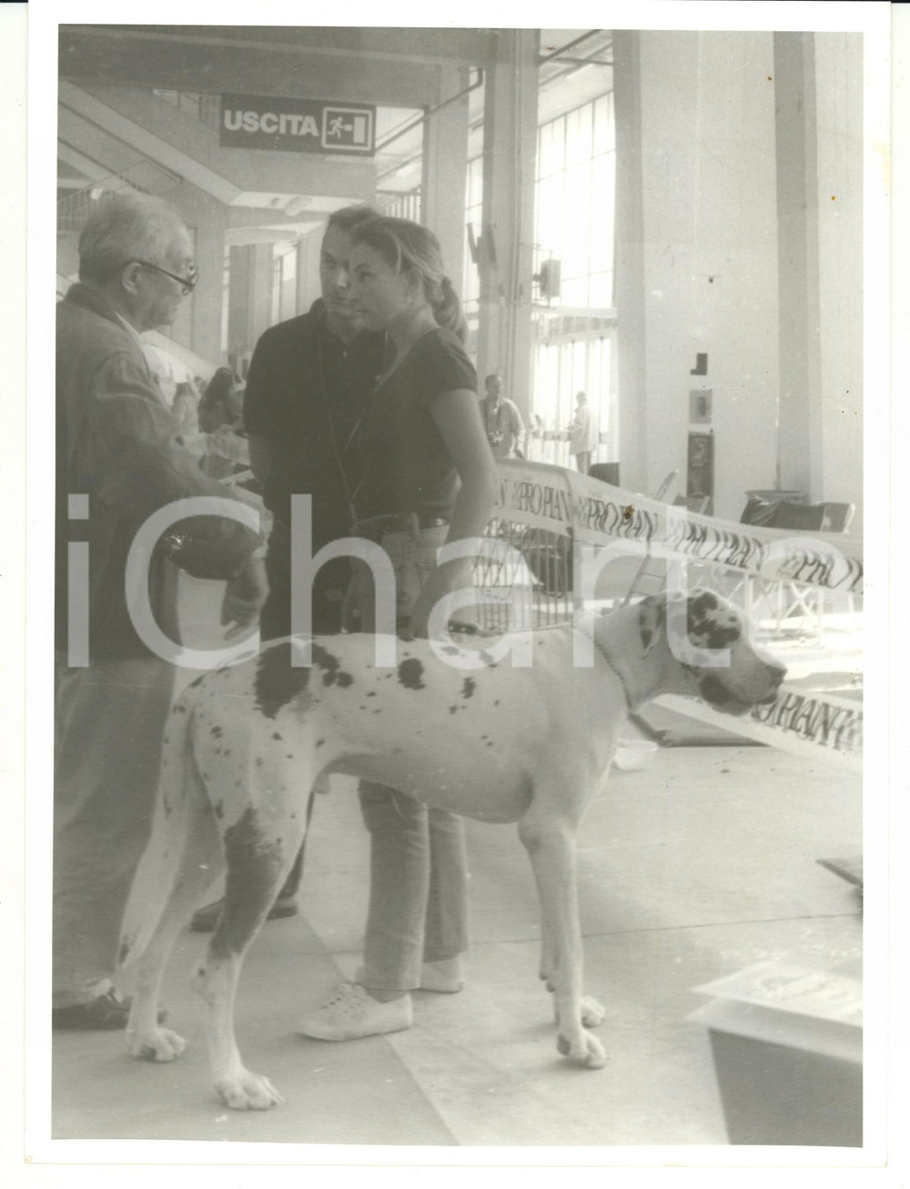 Fotografia d epoca originale 1990 ca GENOVA Partecipanti Esposizione Internazionale Canina Foto VINTAGE 1